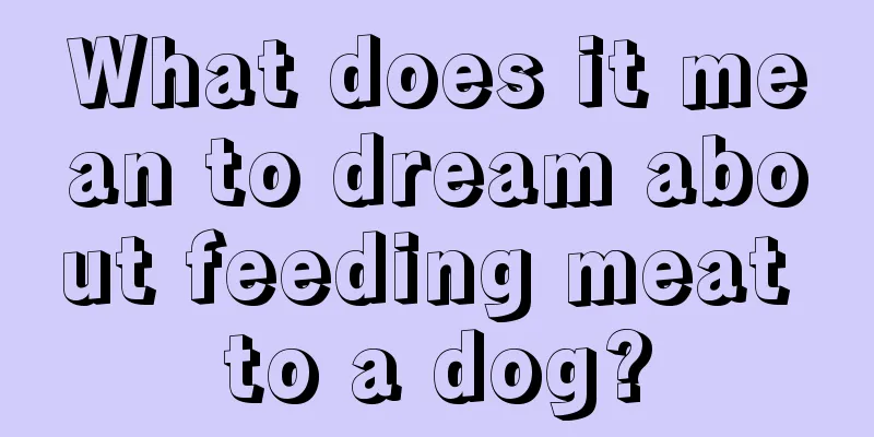 What does it mean to dream about feeding meat to a dog?