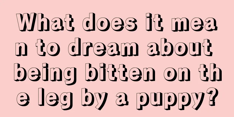 What does it mean to dream about being bitten on the leg by a puppy?