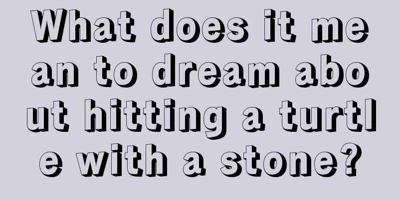 What does it mean to dream about hitting a turtle with a stone?