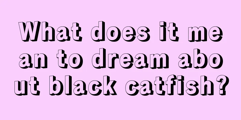 What does it mean to dream about black catfish?