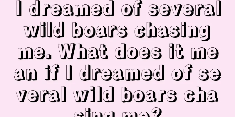 I dreamed of several wild boars chasing me. What does it mean if I dreamed of several wild boars chasing me?