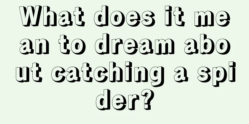 What does it mean to dream about catching a spider?