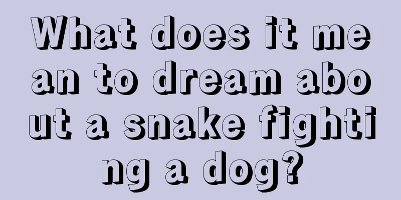 What does it mean to dream about a snake fighting a dog?