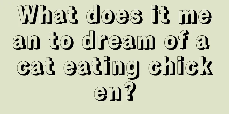 What does it mean to dream of a cat eating chicken?