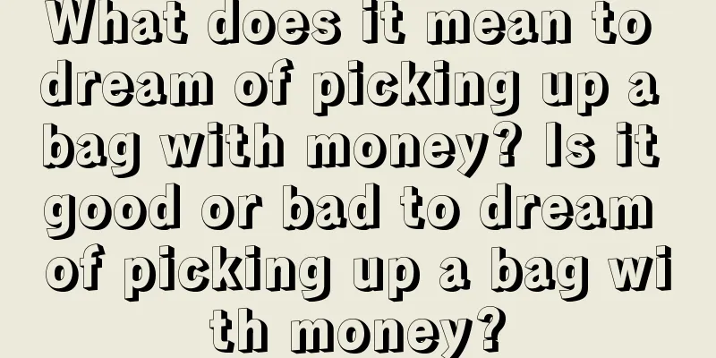 What does it mean to dream of picking up a bag with money? Is it good or bad to dream of picking up a bag with money?