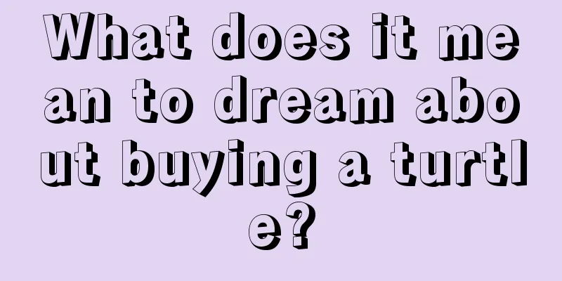 What does it mean to dream about buying a turtle?