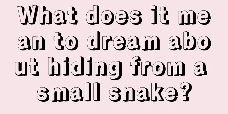 What does it mean to dream about hiding from a small snake?