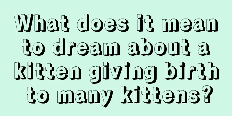 What does it mean to dream about a kitten giving birth to many kittens?