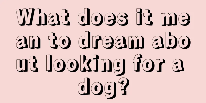 What does it mean to dream about looking for a dog?