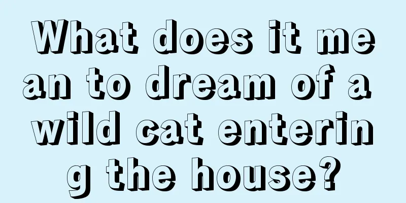 What does it mean to dream of a wild cat entering the house?