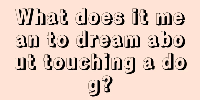 What does it mean to dream about touching a dog?