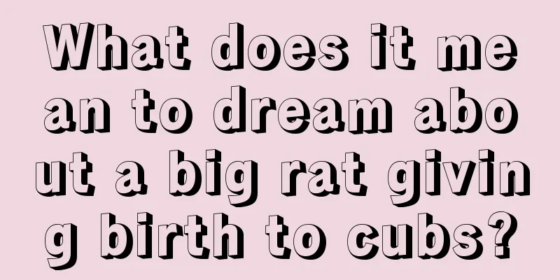 What does it mean to dream about a big rat giving birth to cubs?