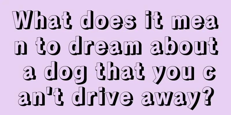 What does it mean to dream about a dog that you can't drive away?