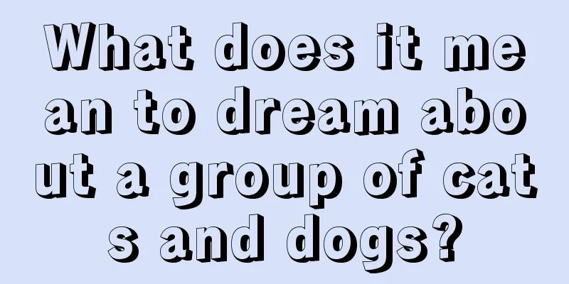 What does it mean to dream about a group of cats and dogs?