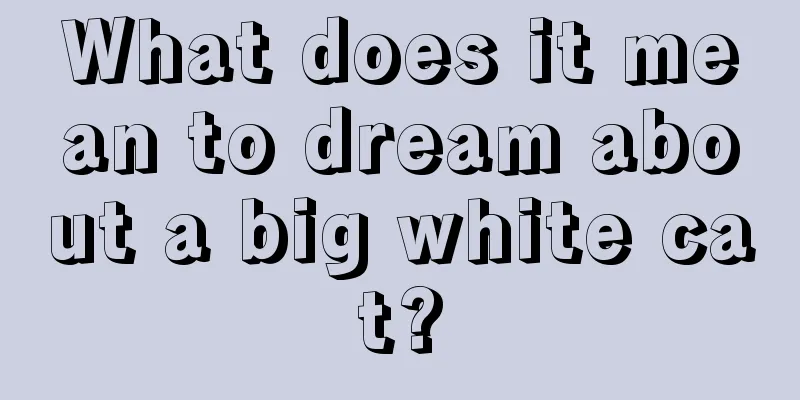 What does it mean to dream about a big white cat?