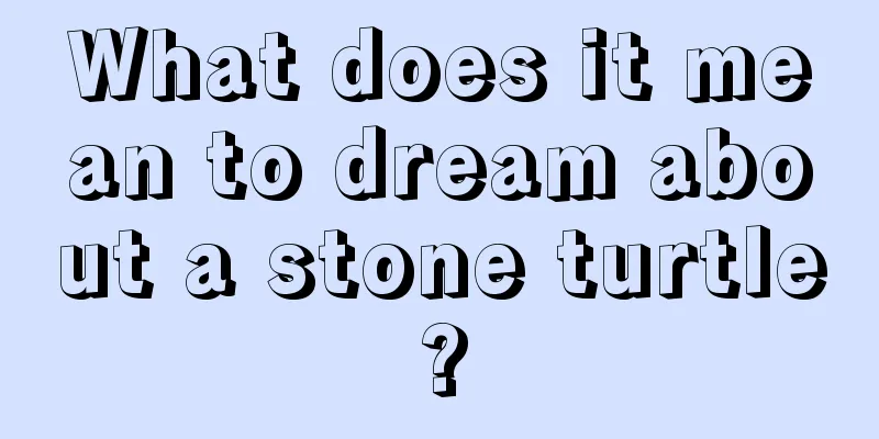 What does it mean to dream about a stone turtle?