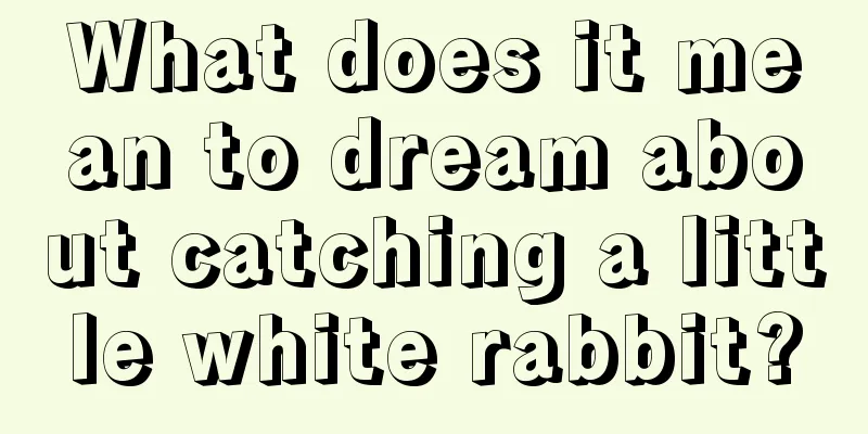 What does it mean to dream about catching a little white rabbit?