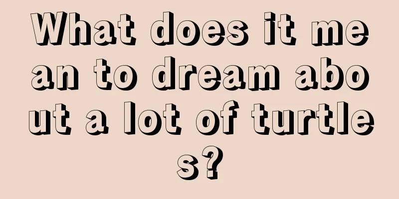 What does it mean to dream about a lot of turtles?