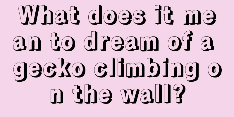 What does it mean to dream of a gecko climbing on the wall?