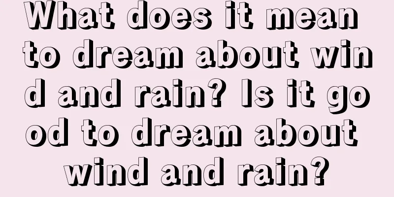 What does it mean to dream about wind and rain? Is it good to dream about wind and rain?