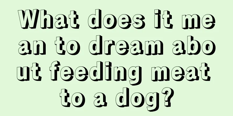 What does it mean to dream about feeding meat to a dog?