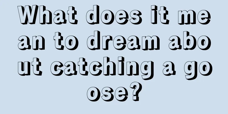 What does it mean to dream about catching a goose?