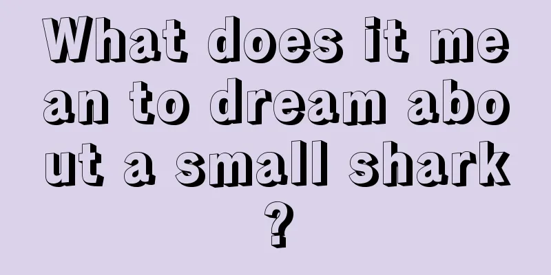 What does it mean to dream about a small shark?