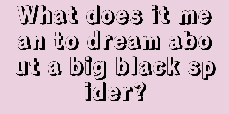 What does it mean to dream about a big black spider?