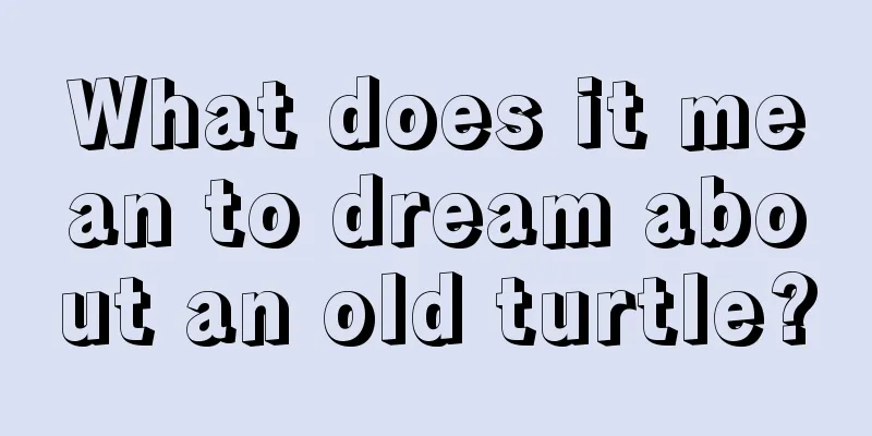 What does it mean to dream about an old turtle?