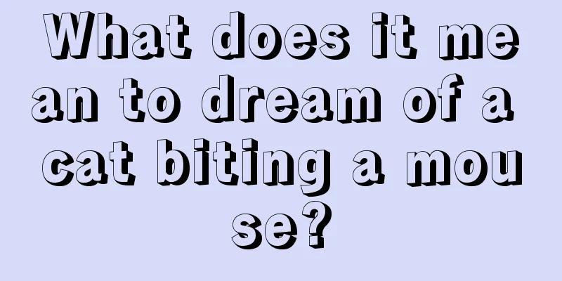 What does it mean to dream of a cat biting a mouse?