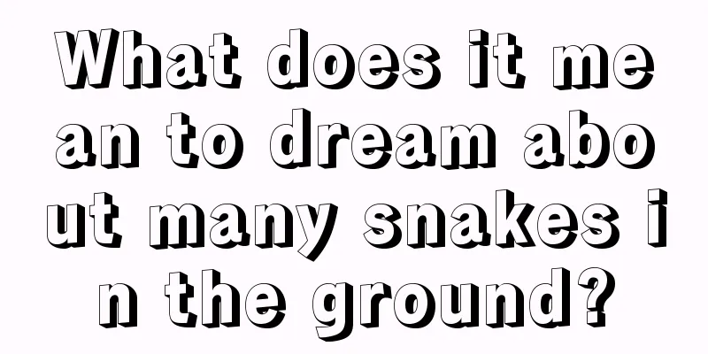 What does it mean to dream about many snakes in the ground?