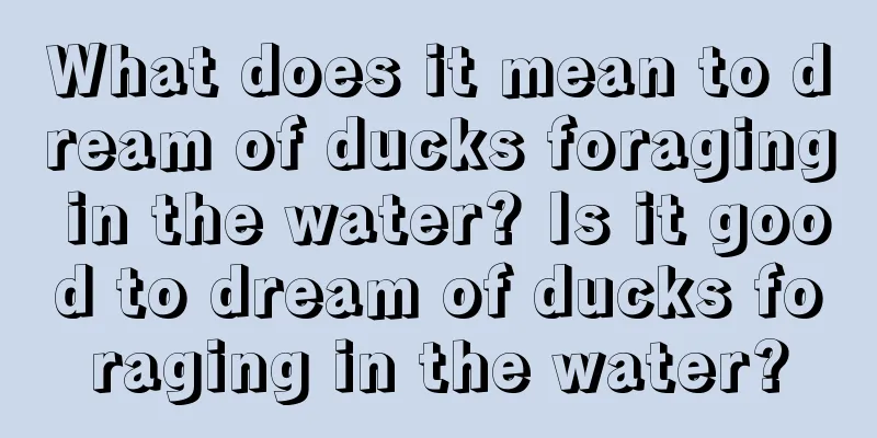 What does it mean to dream of ducks foraging in the water? Is it good to dream of ducks foraging in the water?