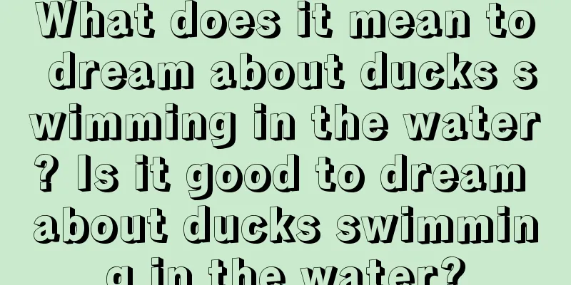 What does it mean to dream about ducks swimming in the water? Is it good to dream about ducks swimming in the water?