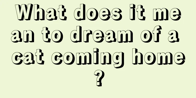 What does it mean to dream of a cat coming home?