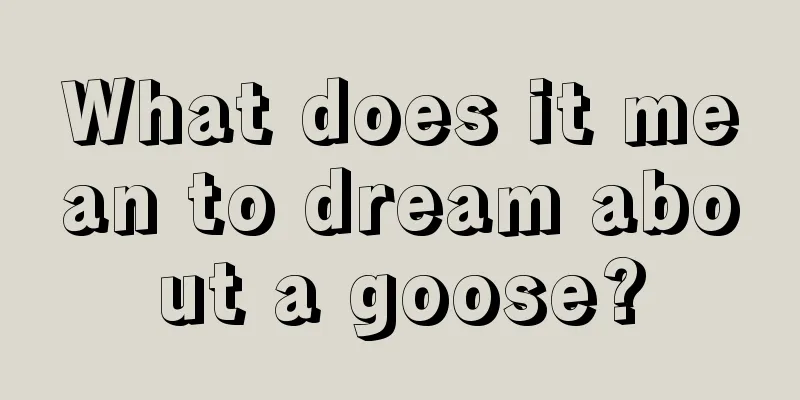 What does it mean to dream about a goose?