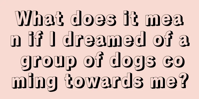 What does it mean if I dreamed of a group of dogs coming towards me?