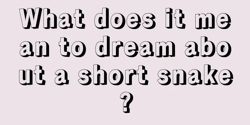 What does it mean to dream about a short snake?