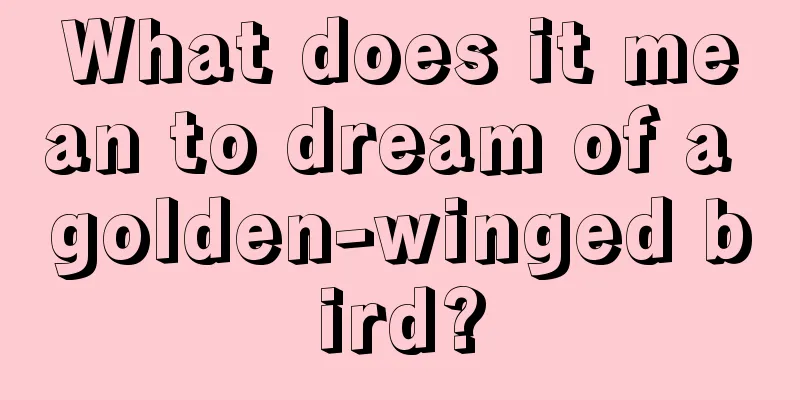 What does it mean to dream of a golden-winged bird?