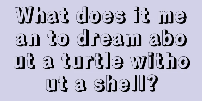 What does it mean to dream about a turtle without a shell?