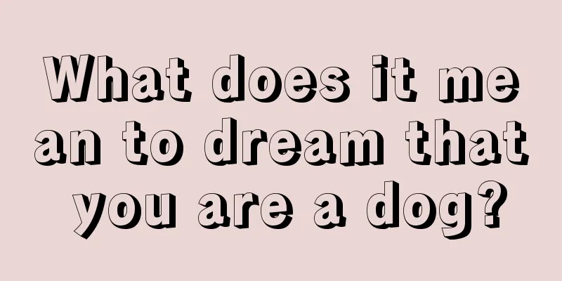 What does it mean to dream that you are a dog?