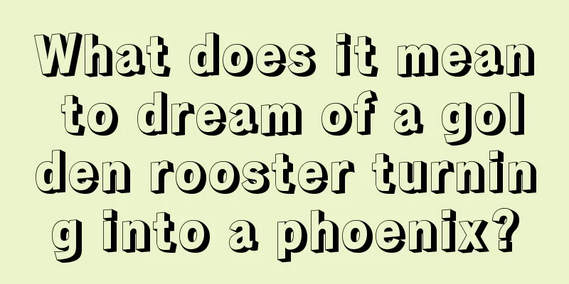 What does it mean to dream of a golden rooster turning into a phoenix?