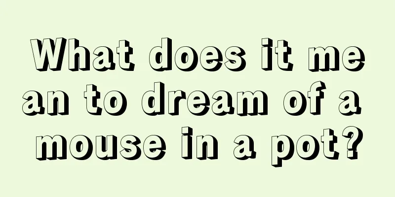 What does it mean to dream of a mouse in a pot?