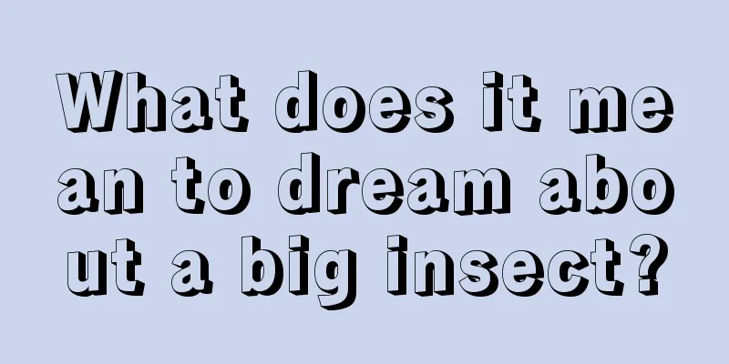 What does it mean to dream about a big insect?