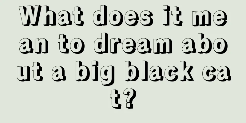 What does it mean to dream about a big black cat?