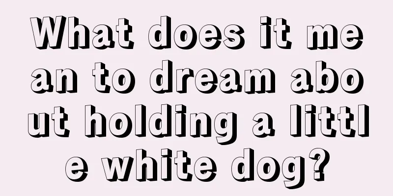 What does it mean to dream about holding a little white dog?