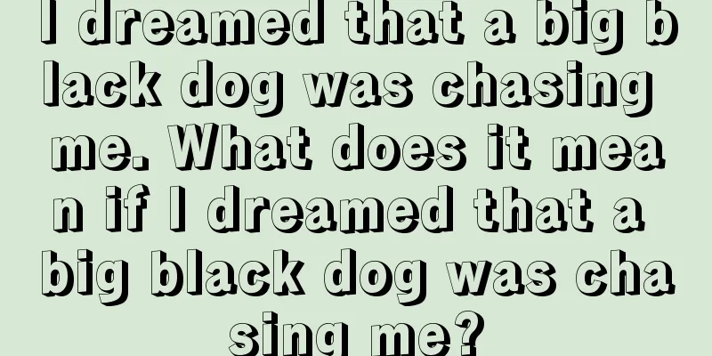 I dreamed that a big black dog was chasing me. What does it mean if I dreamed that a big black dog was chasing me?