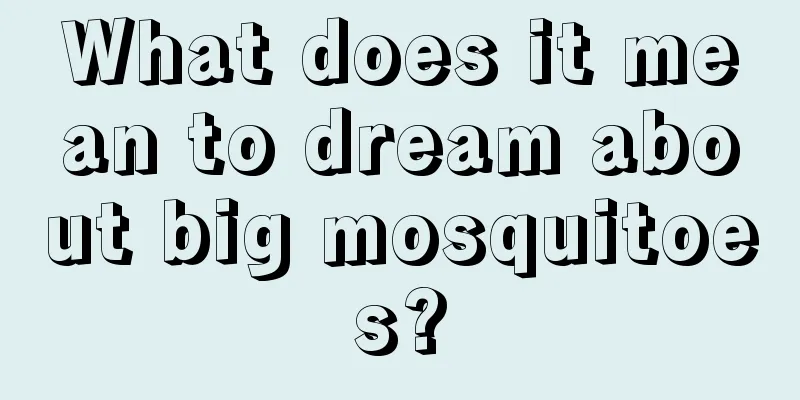 What does it mean to dream about big mosquitoes?