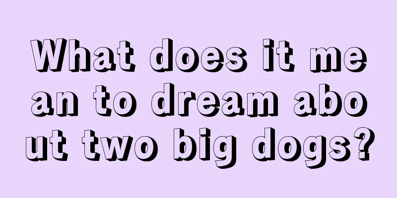 What does it mean to dream about two big dogs?