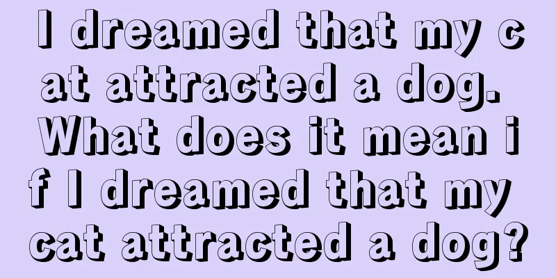 I dreamed that my cat attracted a dog. What does it mean if I dreamed that my cat attracted a dog?