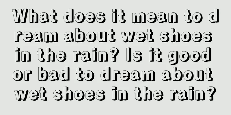 What does it mean to dream about wet shoes in the rain? Is it good or bad to dream about wet shoes in the rain?